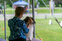20250627-DSC06212