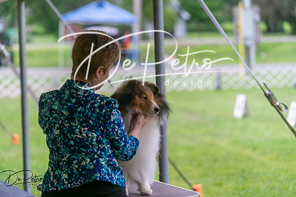 20250627-DSC06212