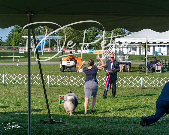 20240913-DSC00505