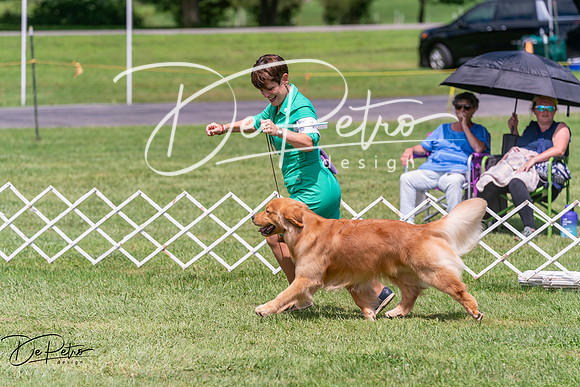 20250628-DSC07753