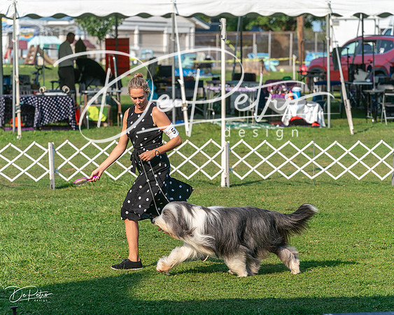 20240913-DSC00159