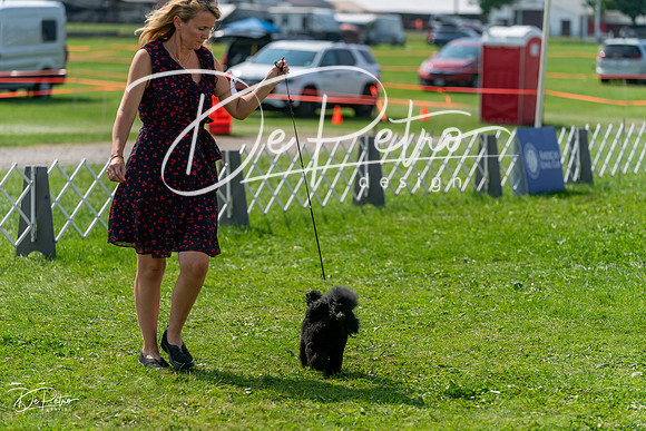 20240816-DSC00458