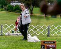 20250626-DSC03018