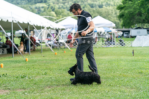 20240630-DSC05510