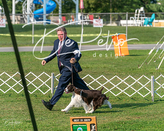 20240913-DSC00060