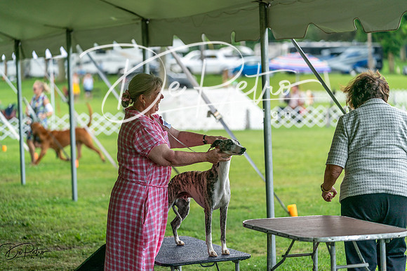 20240630-DSC02212
