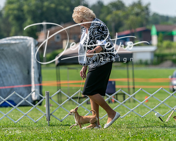 20240816-DSC01052