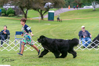 20250627-DSC05570
