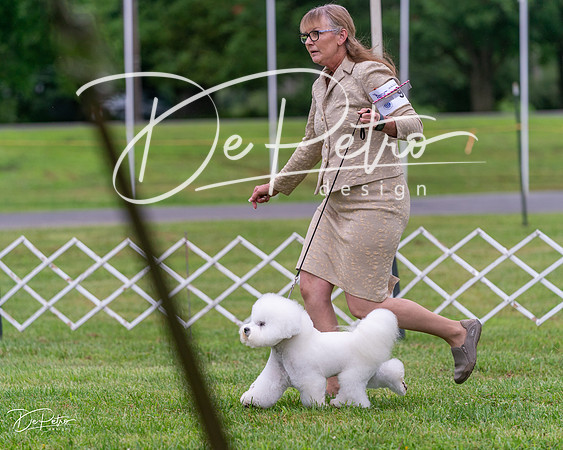 20250626-DSC03728