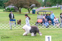20250627-DSC06148