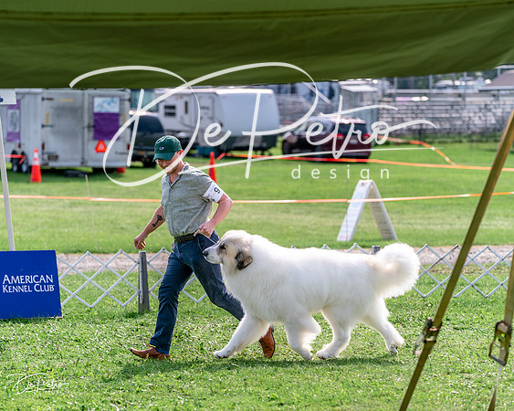 20240815-DSC07753