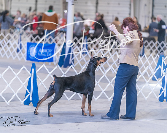20250302-DSC06669
