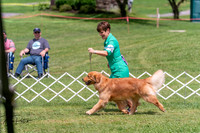 20250628-DSC07732