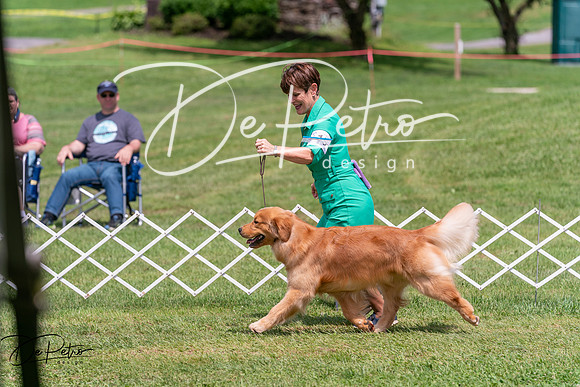 20250628-DSC07732