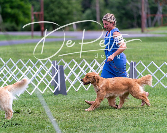20240630-DSC00151