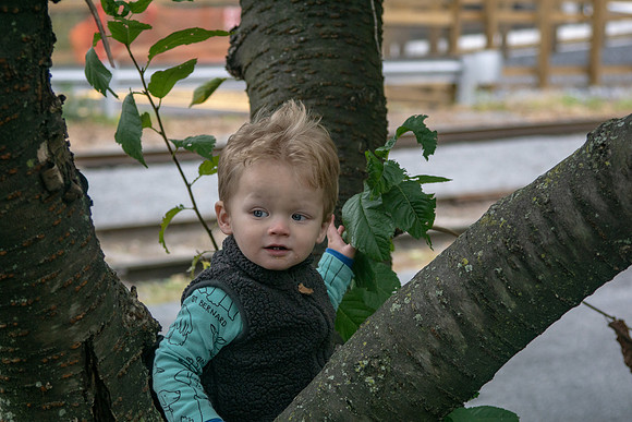 20181020-DSC03015