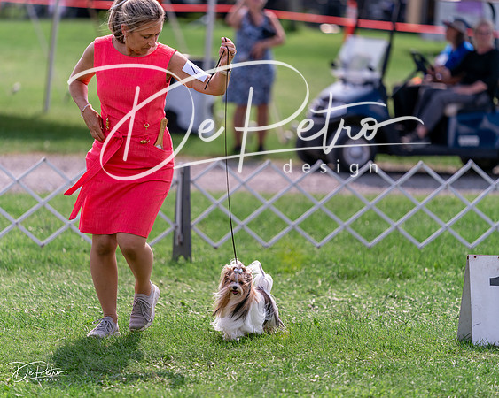 20240815-DSC06692