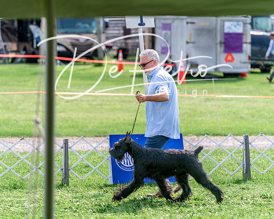 20240815-DSC07600