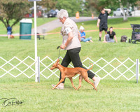20250628-DSC08288