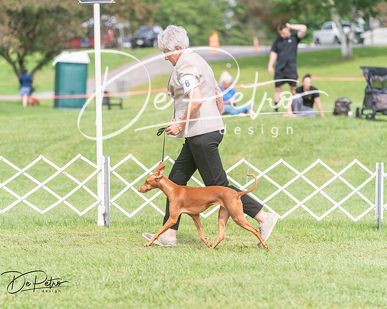 20250628-DSC08288