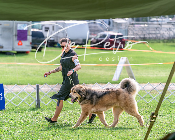 20240815-DSC07786