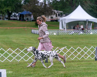20250626-DSC03485