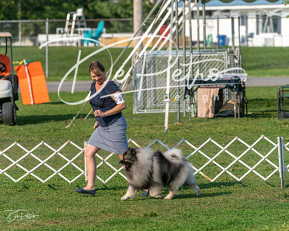 20240913-DSC00365