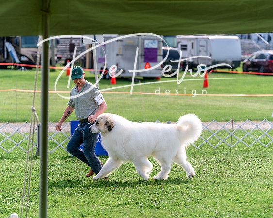 20240815-DSC07764