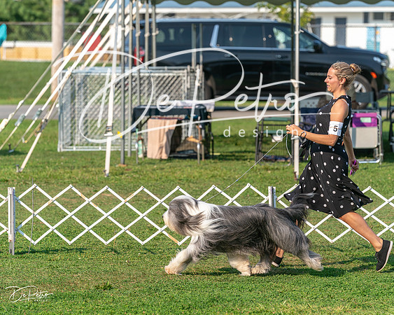 20240913-DSC00190
