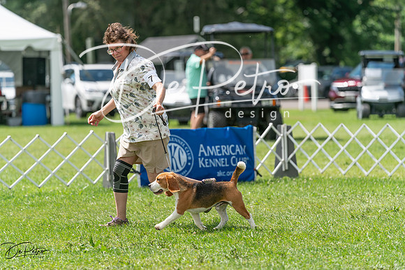 20240630-DSC02304