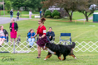 20250627-DSC05625