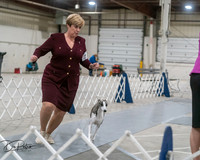 20250302-DSC07857