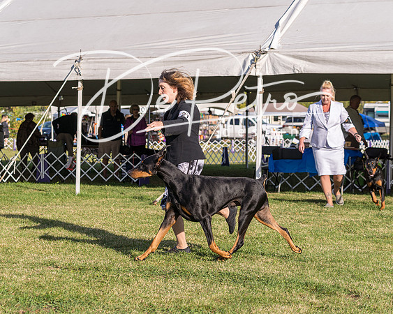 20190929-DSC02633