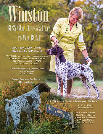 winston shorthair journal stud march 22