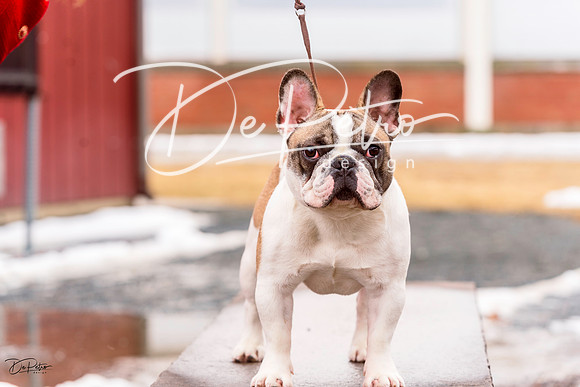 20220306-DSC01741