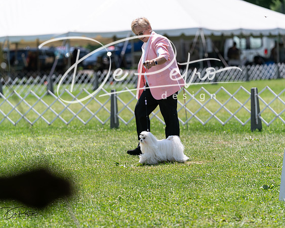 20240630-DSC01452