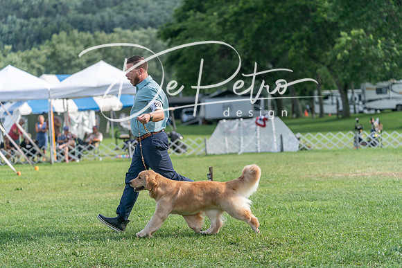 20240630-DSC05303