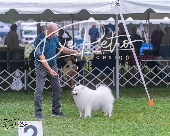 20250627-DSC06806
