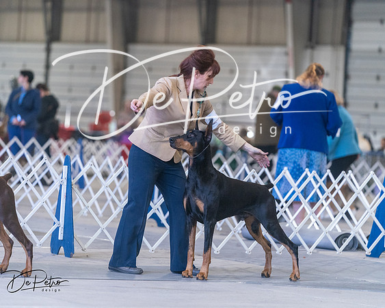 20250302-DSC07023