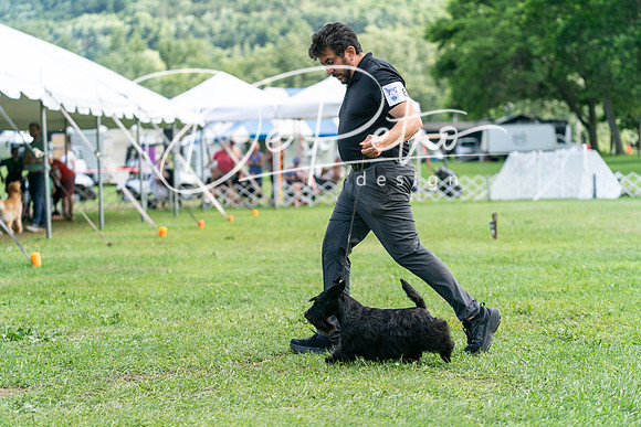 20240630-DSC05505