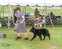 20250628-DSC08868