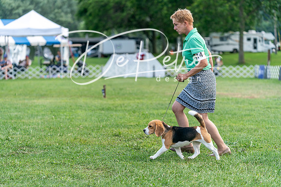 20240630-DSC05424