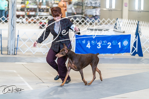 20250301-DSC02842