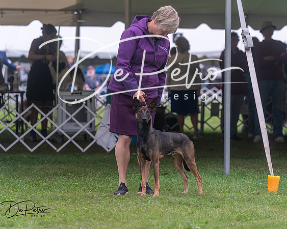 20250627-DSC06551