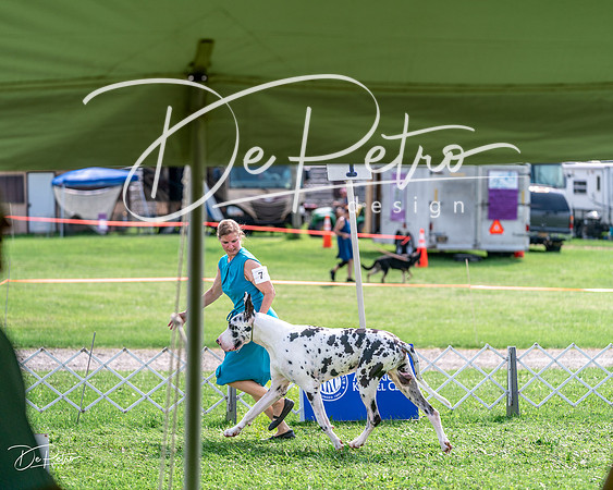 20240815-DSC07435
