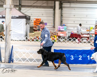 20250301-DSC03915