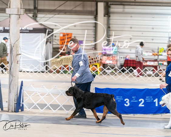 20250301-DSC03915