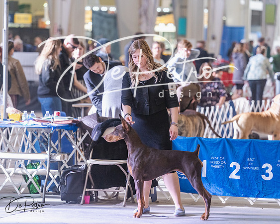 20250302-DSC07241