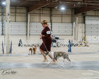 20250302-DSC07836