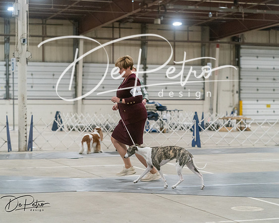 20250302-DSC07836